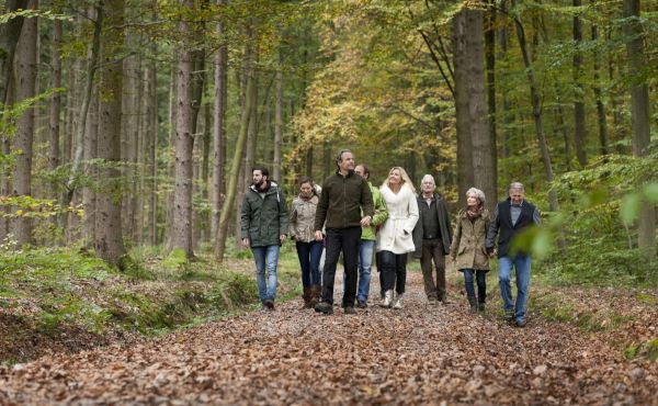 Kostenlose Führung durch den FriedWald Grevesmühlen