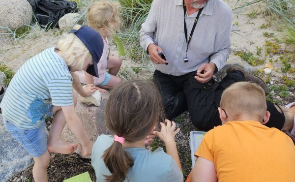 Steine für Kids - am Wohlenberger Strand